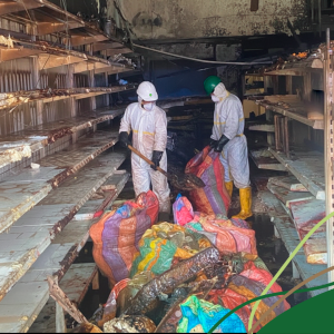 Aseo y lavado de áreas públicas