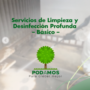 Limpieza y Desinfección Profunda - Básico