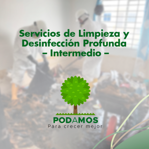 Limpieza y Desinfección Profunda - Intermedio